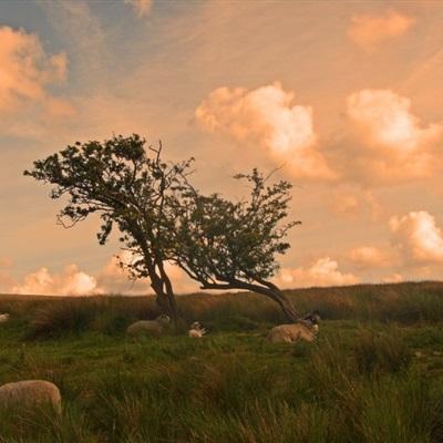 BOB体育官网下载入口截图